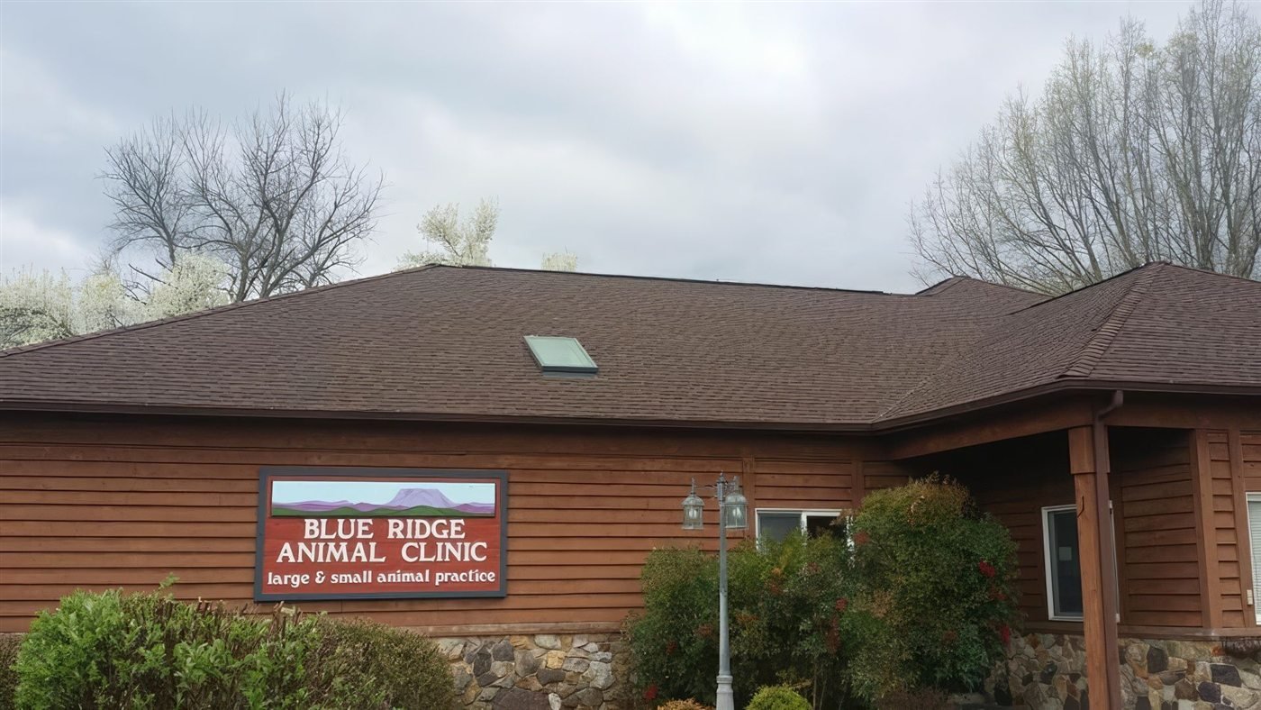 New shingle roof completed on the Blue Ridge Animal Clinic